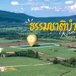 ขายด่วน! ที่ดินวิวเขาใหญ่ 19 ไร่กว่า เหมาะสร้างรีสอร์ต พูลวิลล่า หรือ บ้านพักส่วนตัว วิวสวยมาก