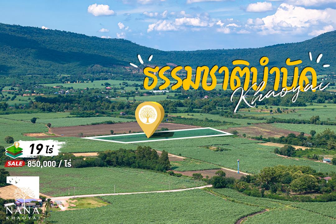 ขายด่วน! ที่ดินวิวเขาใหญ่ 19 ไร่กว่า เหมาะสร้างรีสอร์ต พูลวิลล่า หรือ บ้านพักส่วนตัว วิวสวยมาก
