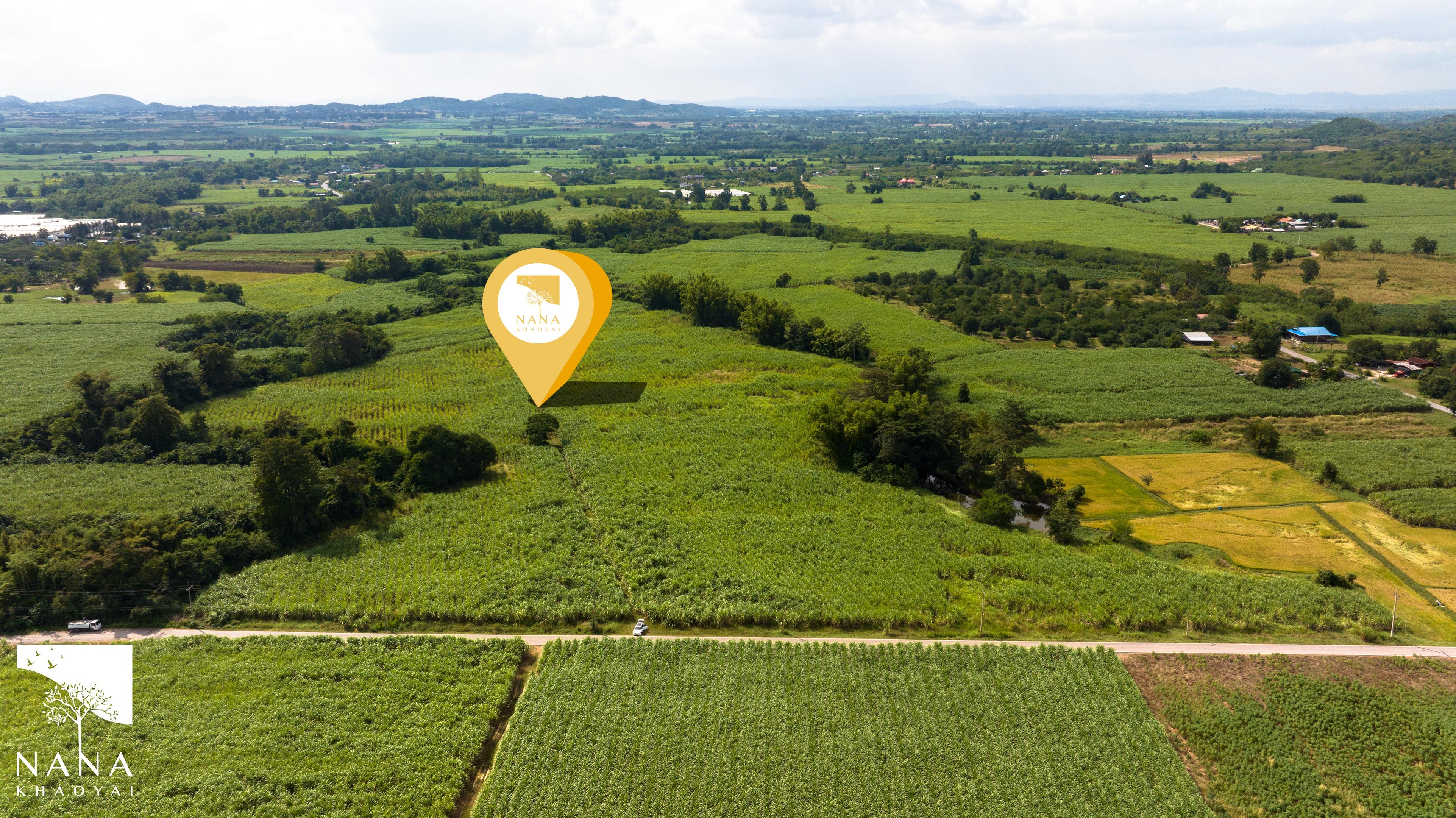 แปลงนี้ตั้งอยู่บนถนนลาดยางสายหลัก เดินทางสะดวก  รายล้อมด้วยรีสอร์ตและพูลวิลล่าชื่อดัง