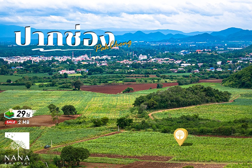 ด่วน!! ขายที่ดินใจกลางเมืองปากช่อง ราคาดี วิวภูเขา360องศา I รหัส D-PC002