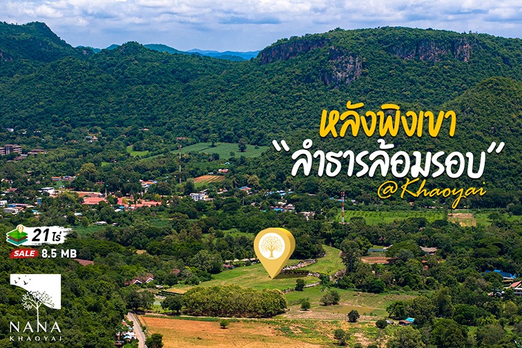 ขายที่ดินหมูสี ใกล้อุทยานเขาใหญ่ วิวเขาใหญ่ล้อมรอบ I รหัส D-MS018