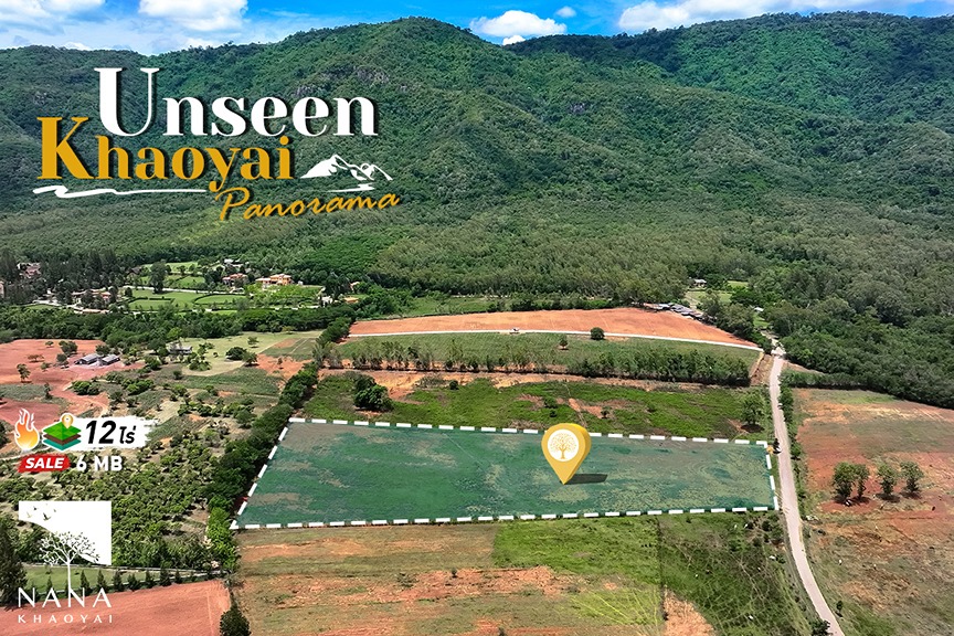 อย่าช้า!! ขายที่ดินติดToscana Valley วิวเขาอุทยานแห่งชาติเขาใหญ่ ทำเลทอง ราคาถูกสุด!! I รหัส D-MS003