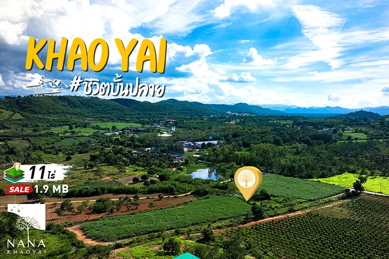 ขายที่ดินเขาใหญ่ ใกล้โครงการ O2 Khaoyai ที่ดินอยู่เนินเขา เดินทางสะดวกI รหัส D-NS004