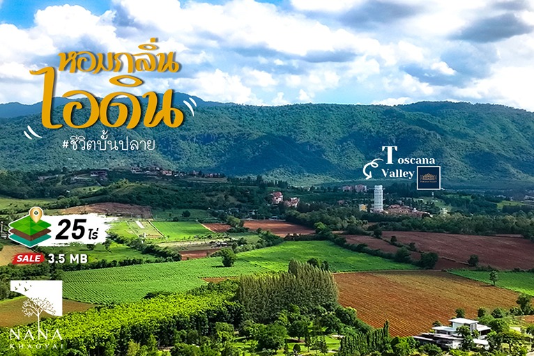 ขายด่วน!!🔥 ที่ดินทำเลทอง ใกล้ “Toscana Valley” ราคาถูกที่สุด I รหัส D-PT005