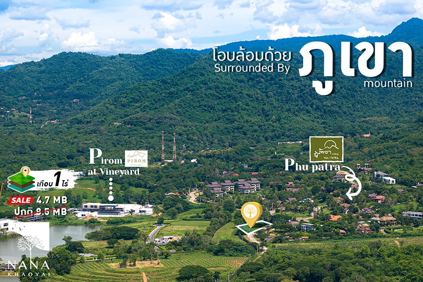 ขายด่วน!🔥เกือบ 1ไร่ ติด”Pirom Vineyard”&ภูภัทรา ราคาสุดคุ้ม 4.7 ล.เท่านั้น!!(ปกติ12ล.) I รหัส D-PY001