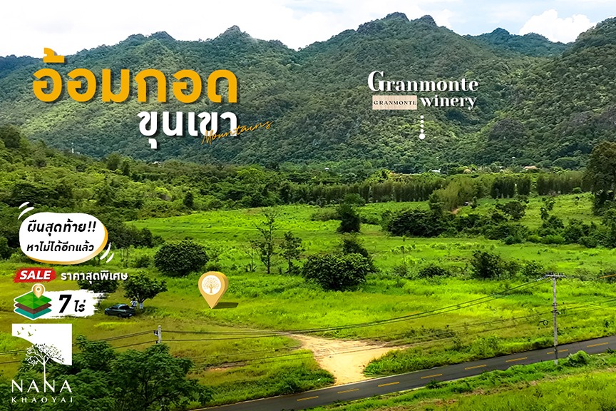 หายาก!!🔥ขายที่ดินติดลำธาร หลังพิงเขา ใกล้ Granmonte K้haoyai ติดถนนลาดยาง I รหัส D-PY002