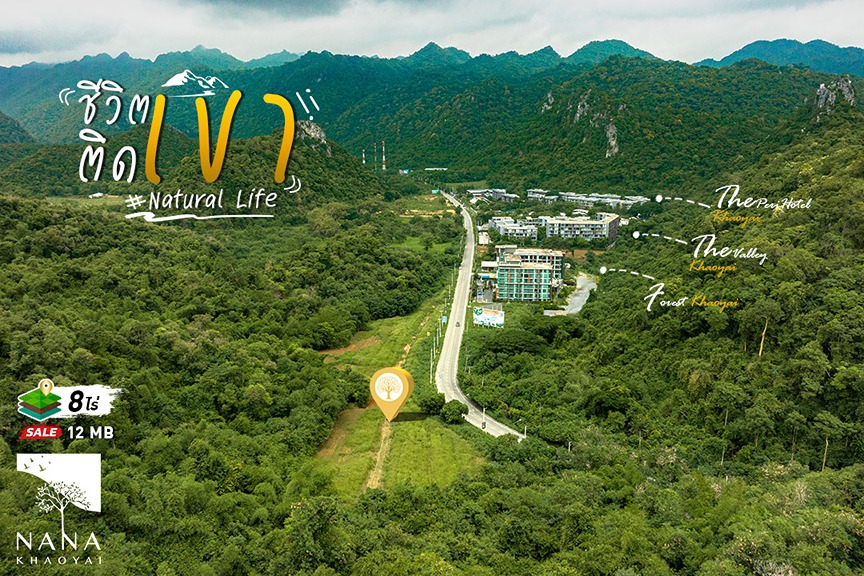 Sale! ที่ดินทำเลทอง ติดคอนโด Forest Khaoyai เหมาะสำหรับนักลงทุน I รหัส D-PY006