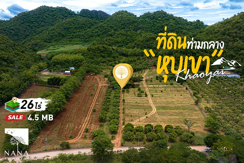 ขายด่วน!! ที่ดินเขาใหญ่ ทำเลทอง หนองน้ำแดง ใกล้ “Signature Khaoyai” I รหัส D-ND014