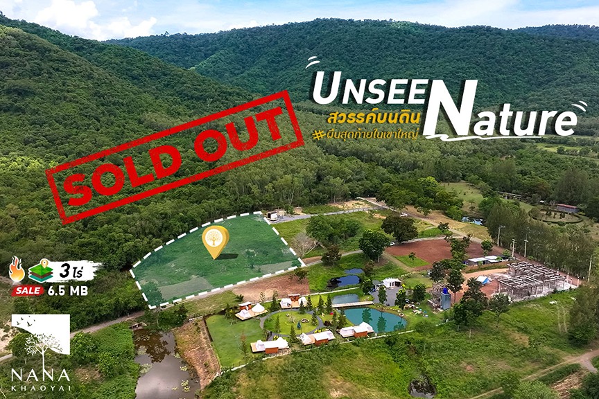 หายากมาก!🔥แปลงเล็ก 3 ไร่ ติดเขาใหญ่ ใจกลางหุบเขา UNSEEN Khaoyai I รหัส D-MS005