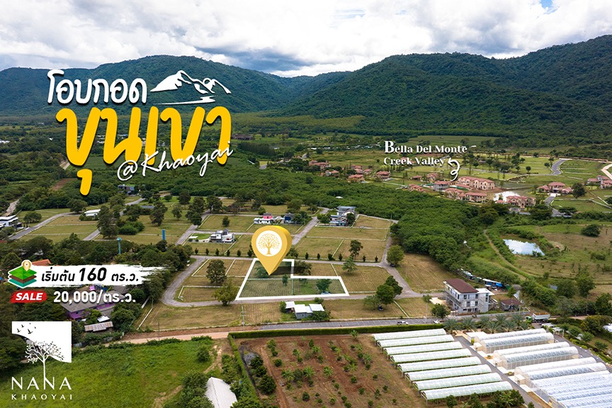 ขายที่แปลงเล็ก 160 ตร.ว.ใกล้โครงการหรู Bella Del Monte Khaoyai I รหัส E-MS004