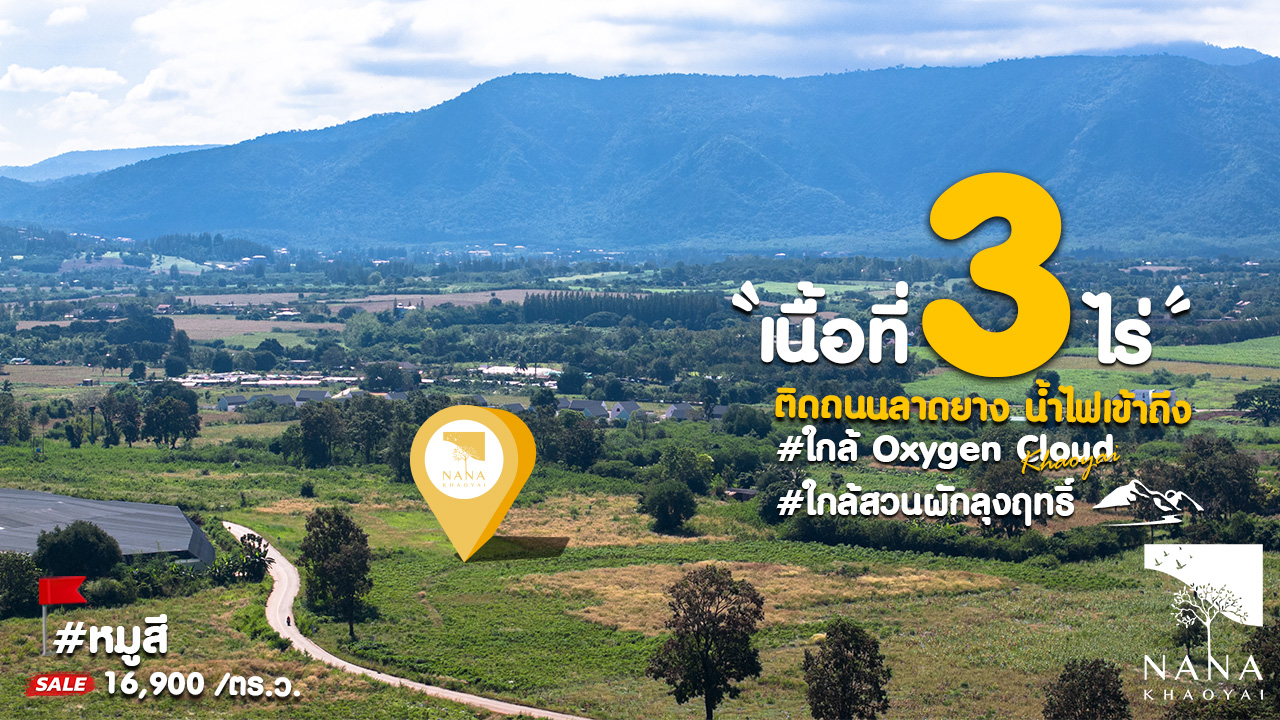 ที่ดินเขาใหญ่ ขายยกแปลง 3 ไร่ 🔥ติดถนนลาดยาง ใกล้ Oxygen Cloud Khaoyai ⛰️I รหัส E-MS009