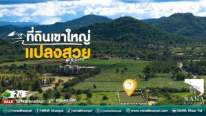 ที่ดินเขาใหญ่ 2 แปลง