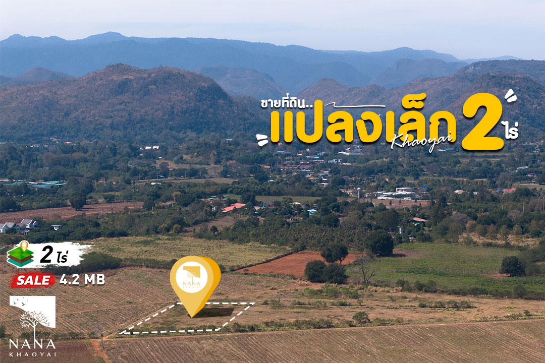 🏞️ ที่ดินเขาใหญ่แปลงเล็ก 2 ไร่ พิกัดหมูสี บรรยากาศดี เงียบสงบ รายล้อมด้วยเขา | รหัส D-MS124