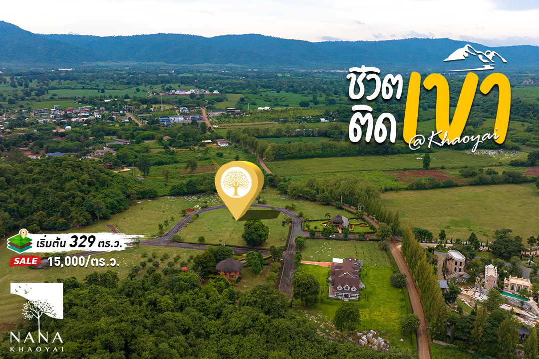 🌄 ที่ดินเขาใหญ่แปลงสวย โครงการจัดสรรหมูสี ใกล้ธรรมชาติ เหมาะสร้างบ้านตากอากาศ | รหัส E-MS006