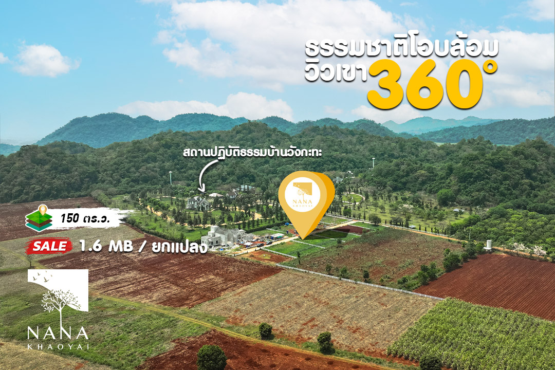 💰 ที่ดินแปลงเล็กวังกะทะ ขนาด 150 ตรว. เหมาะปลูกบ้านหลังเล็ก พร้อมวิวสูง | รหัส D-WK010