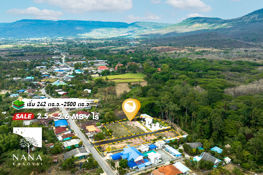 🏡 ที่ดินจัดสรรวังไทร เขาใหญ่ แบ่งขาย เริ่มต้น 242 ตร.ว. ทำเลชุมชน วิวเขาสวย | รหัส E-WS009