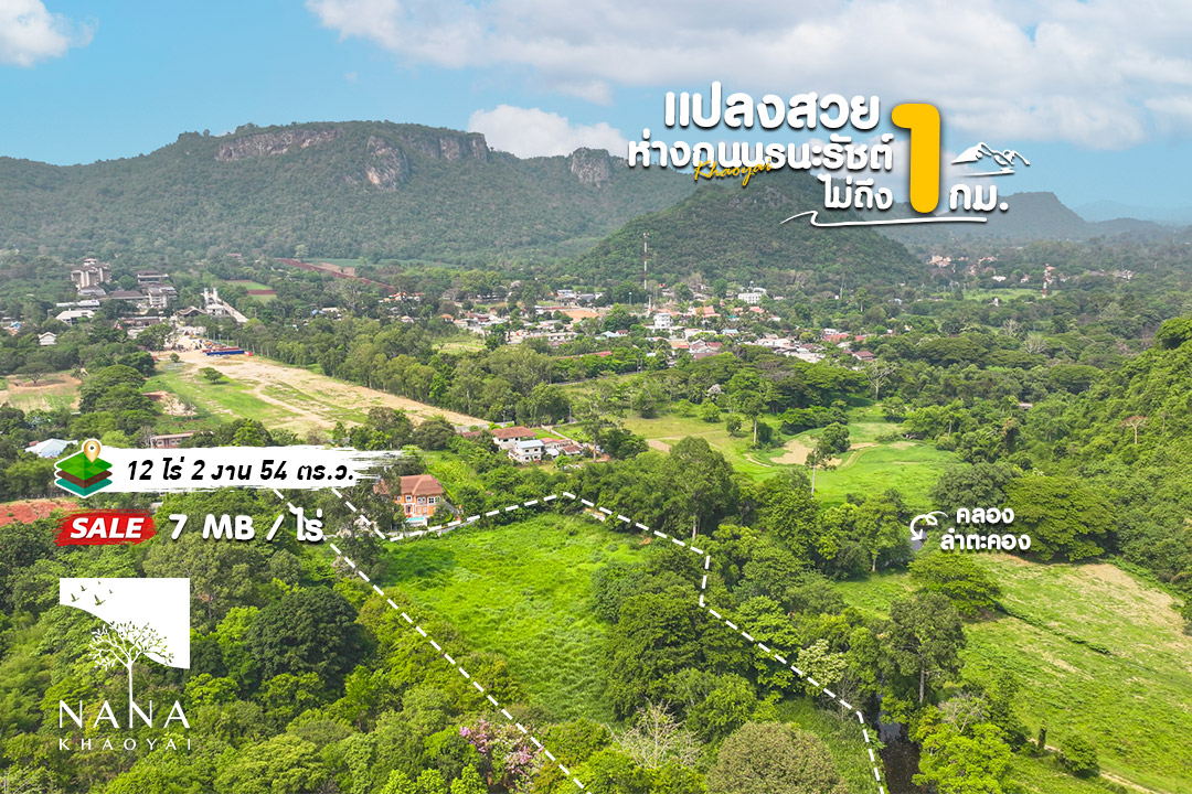 🛣️ ที่ดินหมูสี เขาใหญ่ 12 ไร่ ใกล้ถนนธนะรัชต์ไม่ถึง 1 กม. วิวเขาสวย ทำเลสุดฮอต | รหัส D-MS151