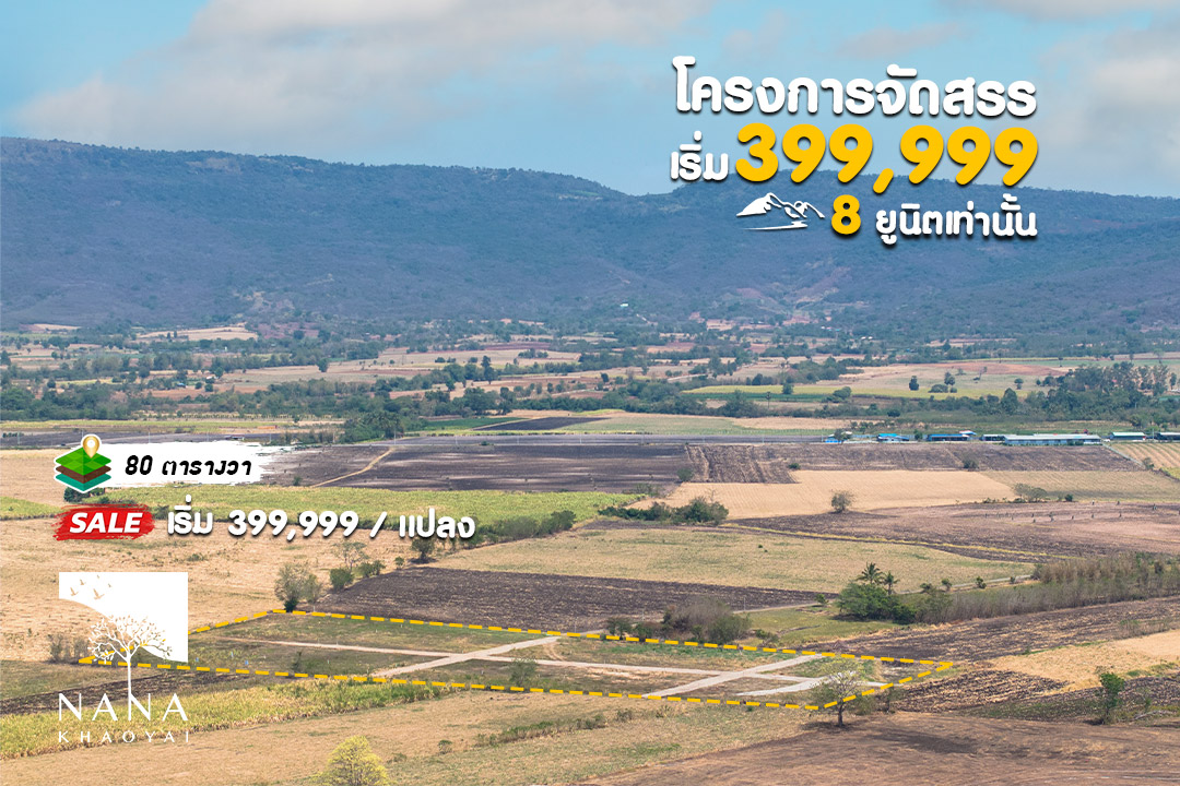 🚧 โปรแรง! ที่ดินจัดสรรวังไทร เริ่มแค่ 399,999 บ. แถมรั้วคาวบอย+ถนนเข้าแปลง | รหัส E-WS007