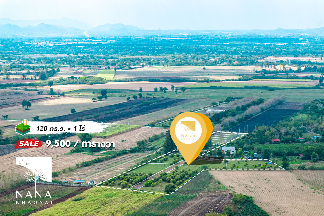 🏡 ที่ดินจัดสรรหนองสาหร่าย เขาใหญ่ เริ่มต้น 120 ตร.ว. น้ำไฟครบ ถนนหินคลุก วิวเขาสวย | รหัส E-NS007
