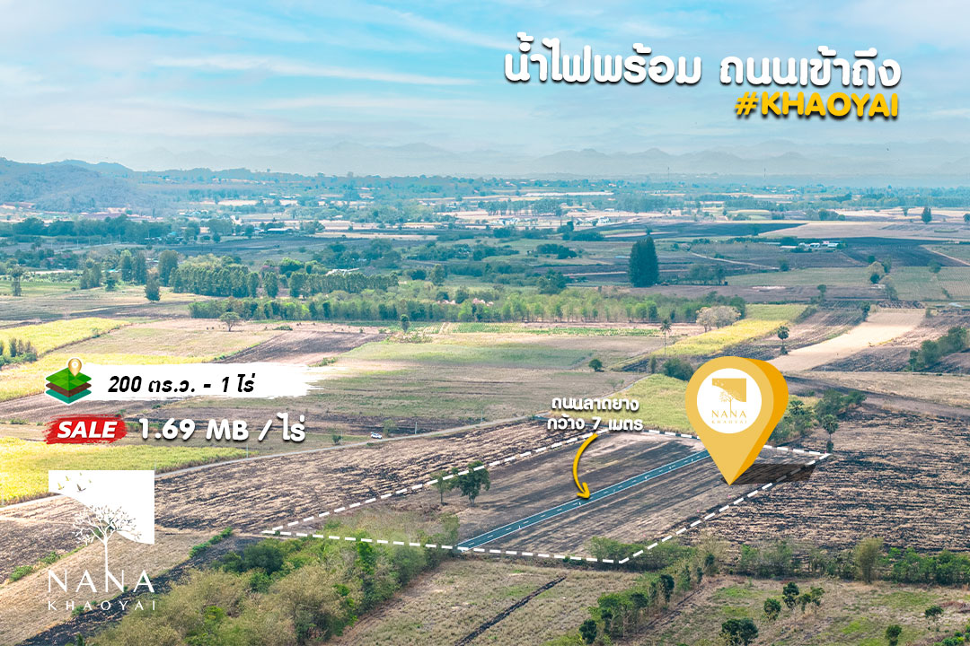 🛣️ ขายที่ดินจัดสรรวังไทร เขาใหญ่ ถนนลาดยางกว้าง 7 เมตร สาธารณูปโภคครบ น้ำไฟ ใกล้ชุมชน พร้อมโฉนด | E-WS008