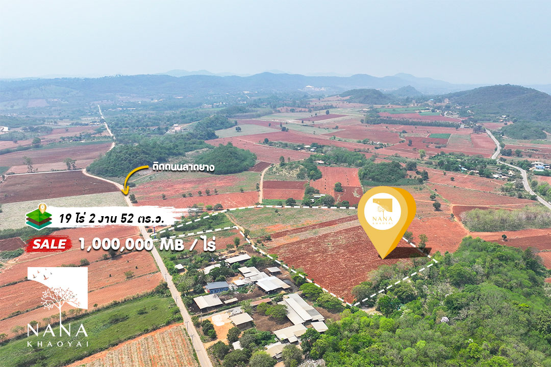 🌳 ที่ดินหนองสาหร่าย 19-2-52 ไร่ ติดถนนลาดยาง ไร่ละ 1 ล้านบาท โฉนดครุฑแดง พร้อมโอน | รหัส D-NS008