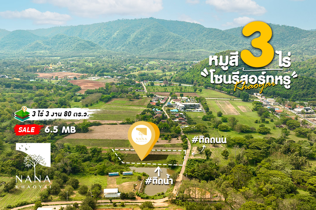 🏞️ ขายที่ดินหมูสี เขาใหญ่ 3 ไร่ 3 งาน 80 ตร.ว. วิวเนินเขาสวย ติดถนนและติดคลอง หายากมาก | D-MS131