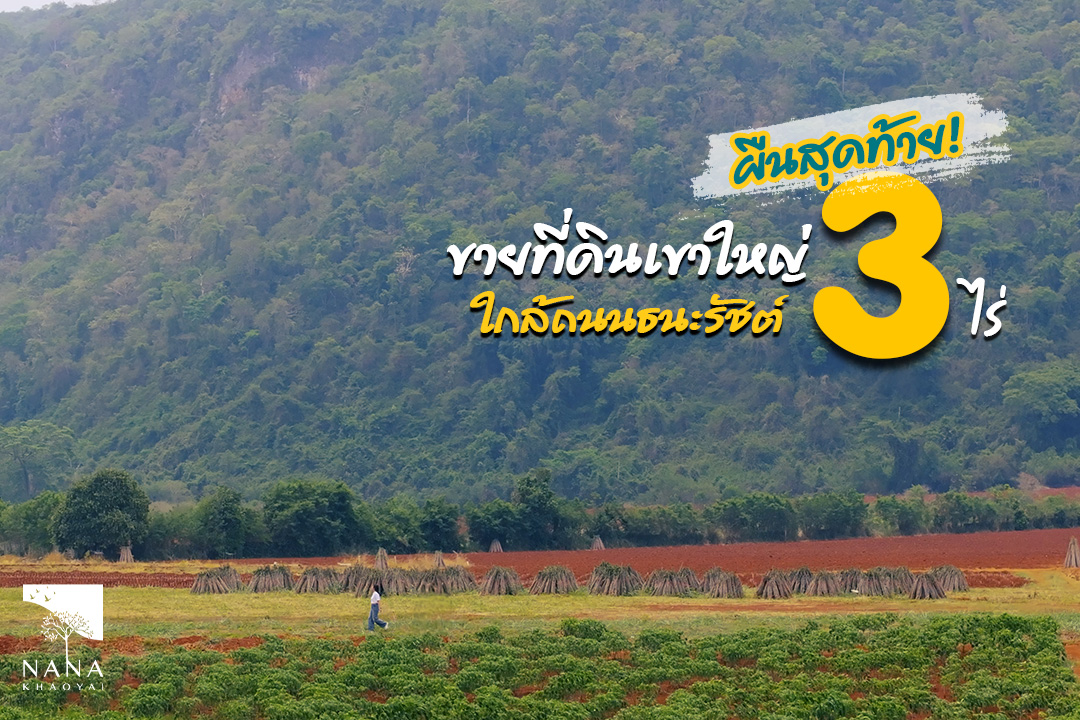 ที่ดินเขาใหญ่ แปลงเล็ก 3 ไร่ ใกล้ถนนธนะรัชต์แค่ 3 กม. | รหัส D-ND032